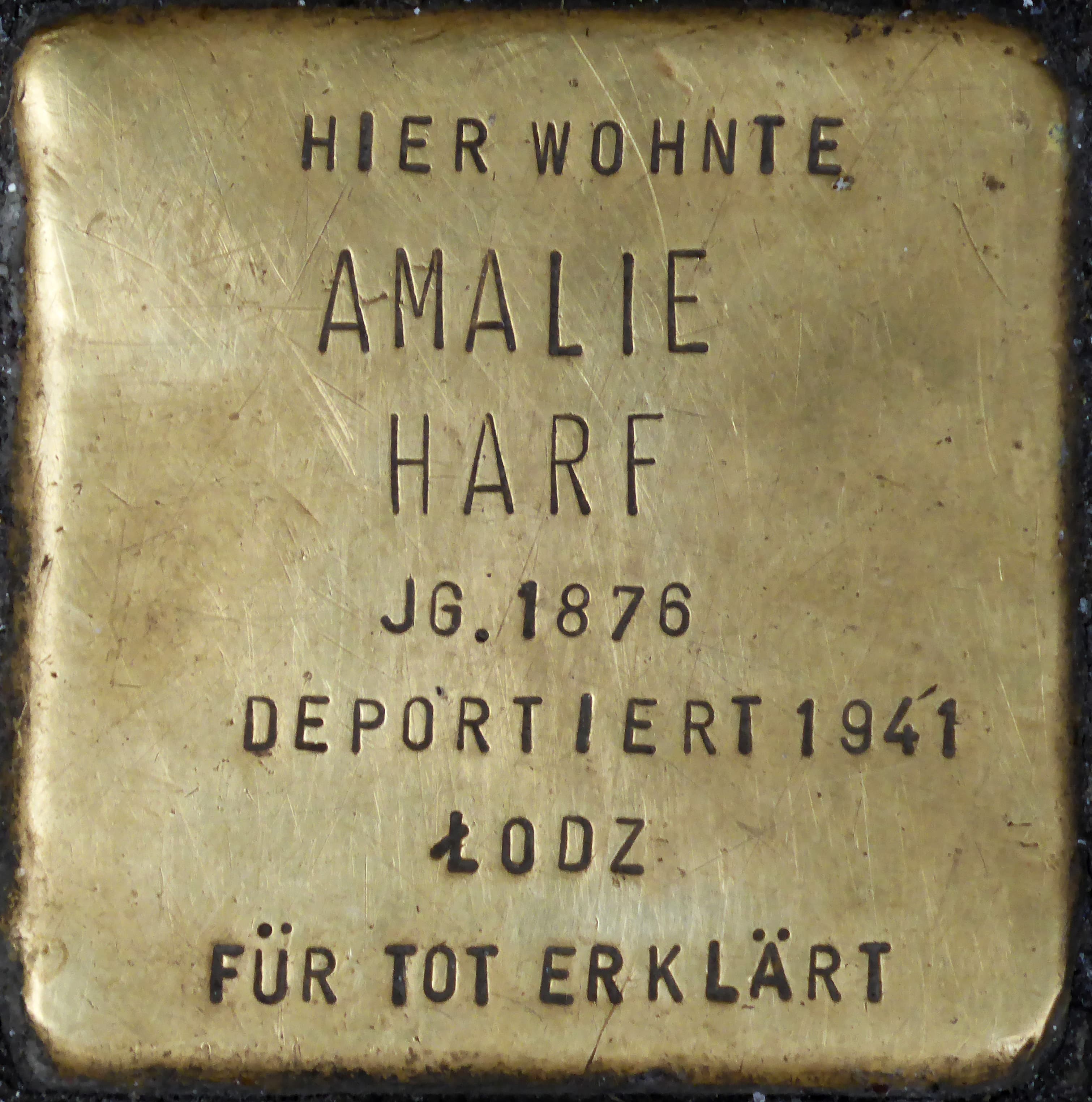 Amalie Harf