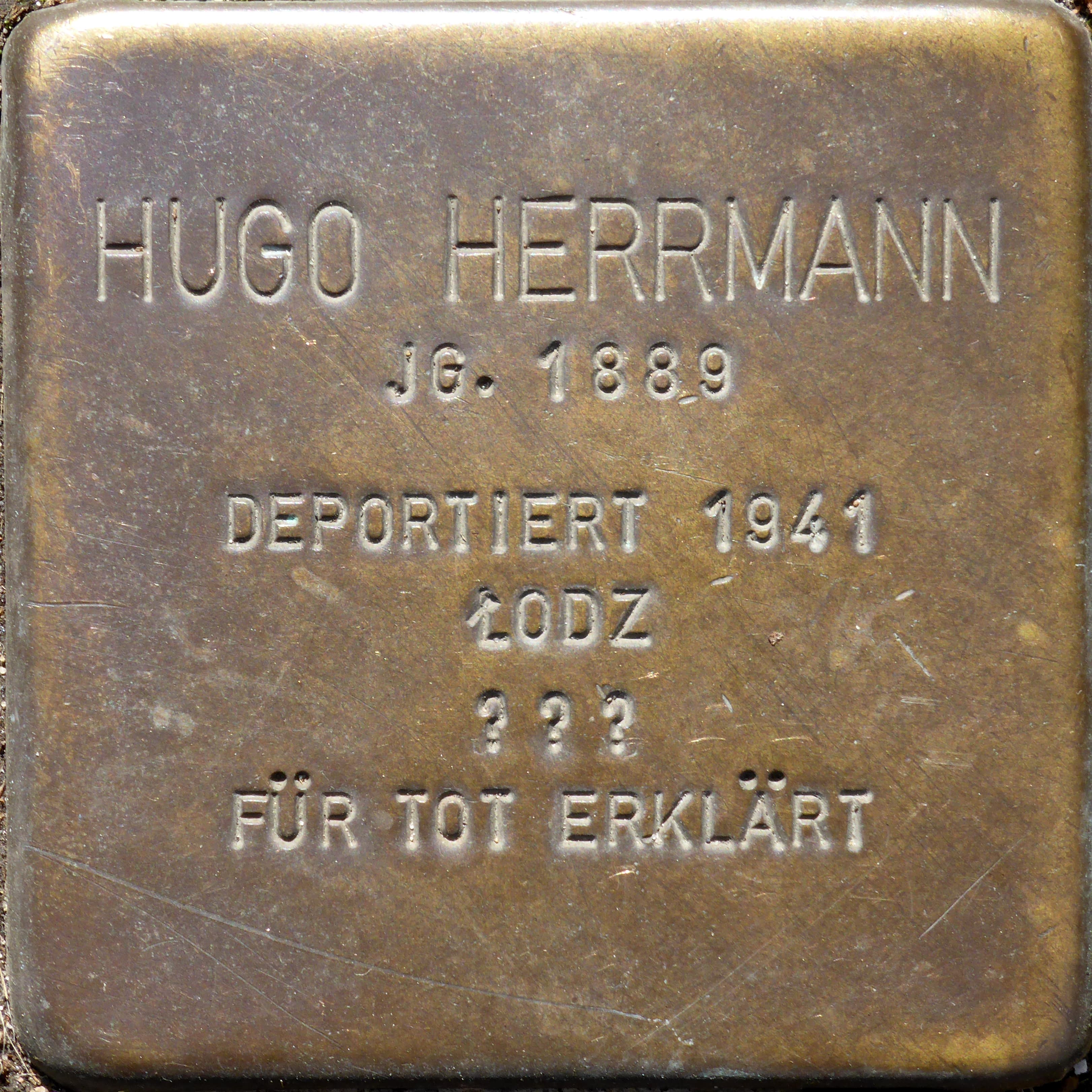 Hugo Herrmann