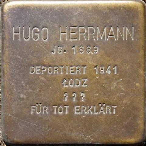Hugo Herrmann
