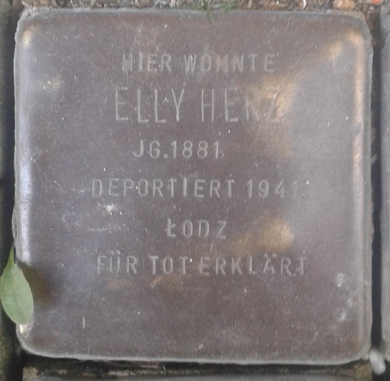 Elly Herz