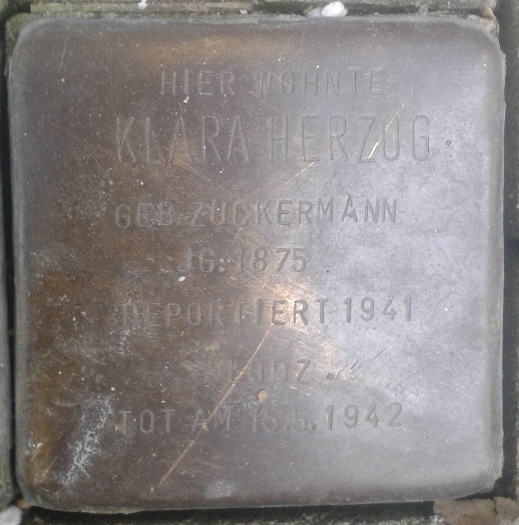 Klara Herzog geb. Zuckermann