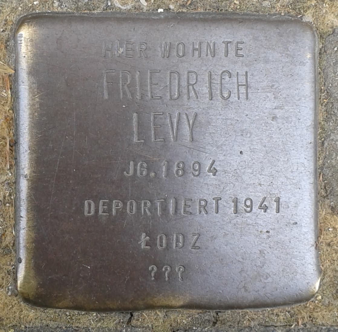 Friedrich Levy