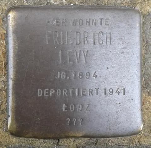 Friedrich Levy
