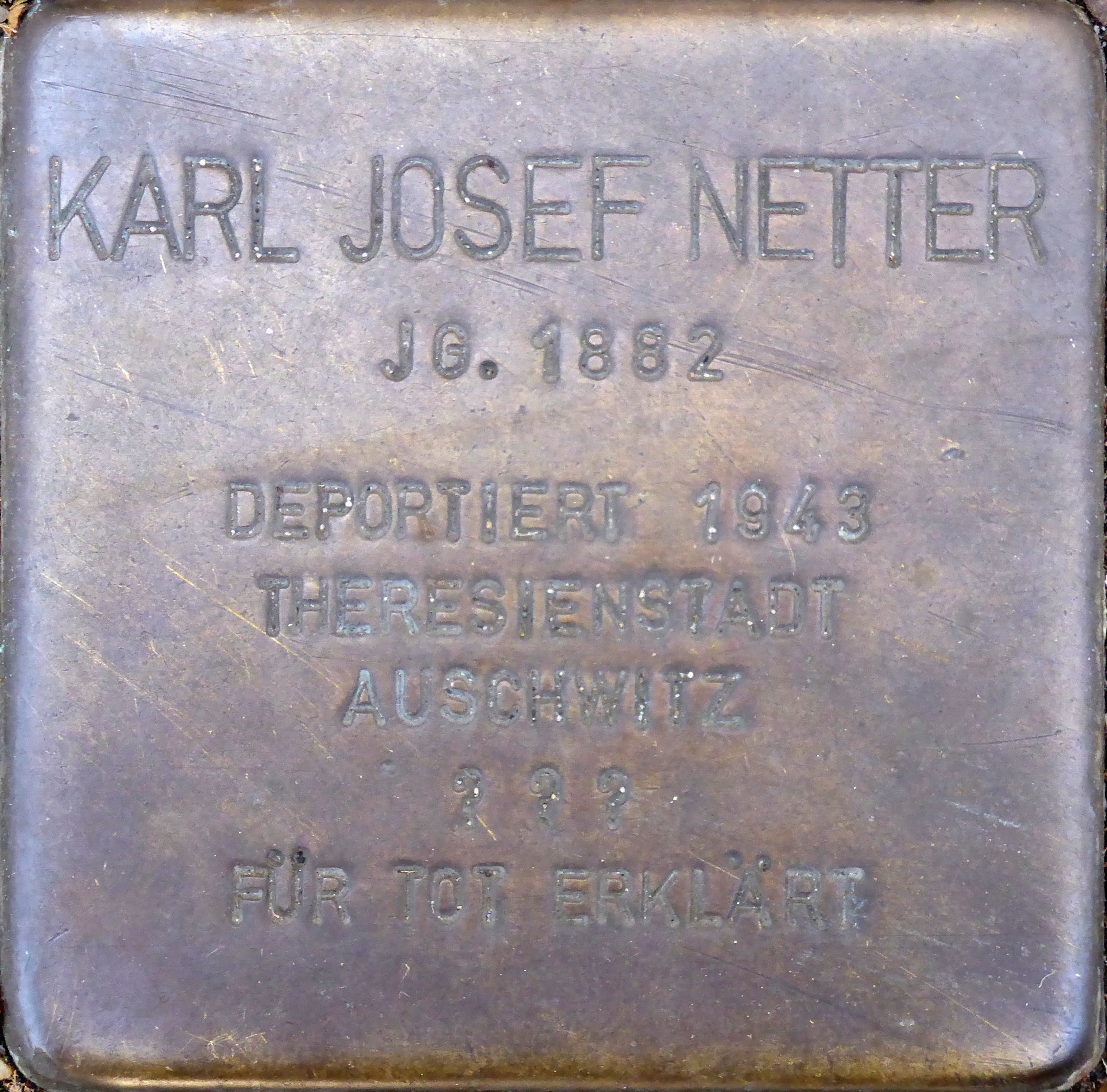 Karl Josef Netter