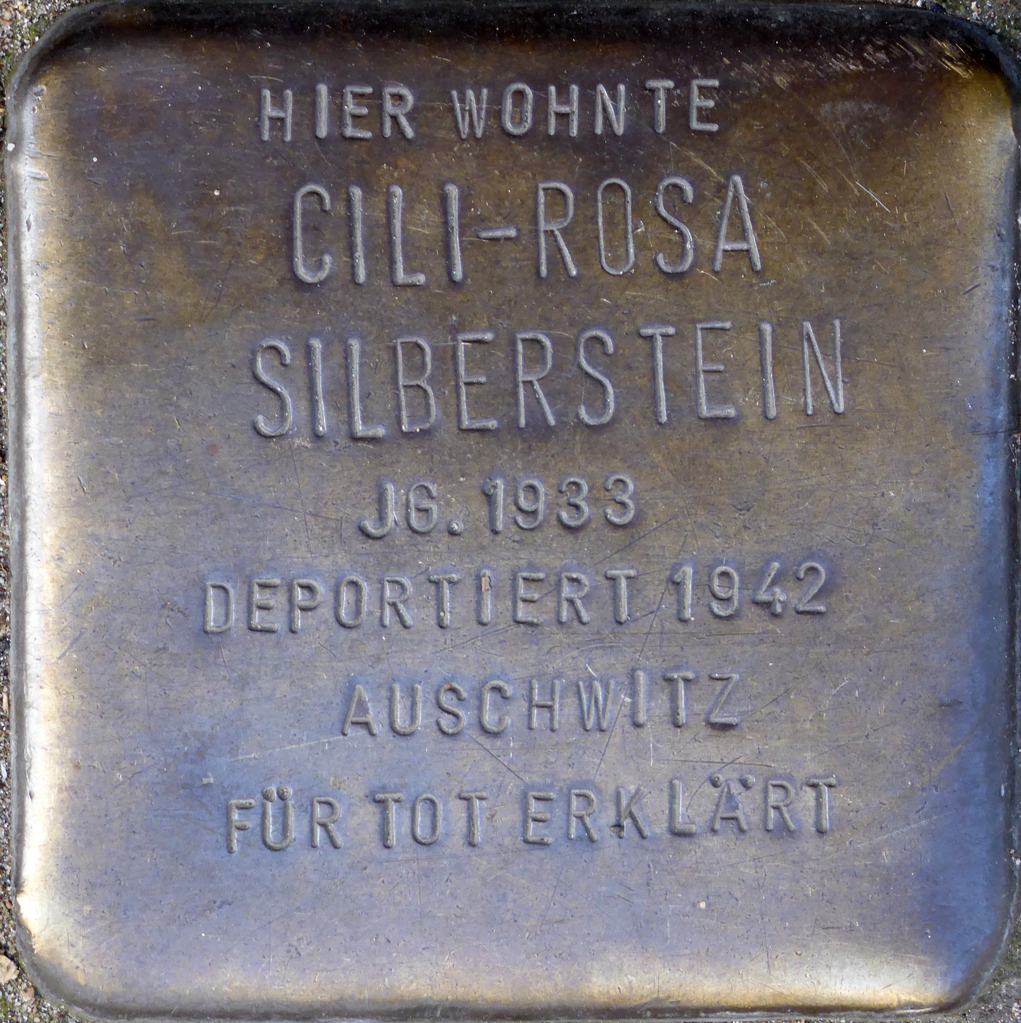 Cilli-Rosa Silberstein