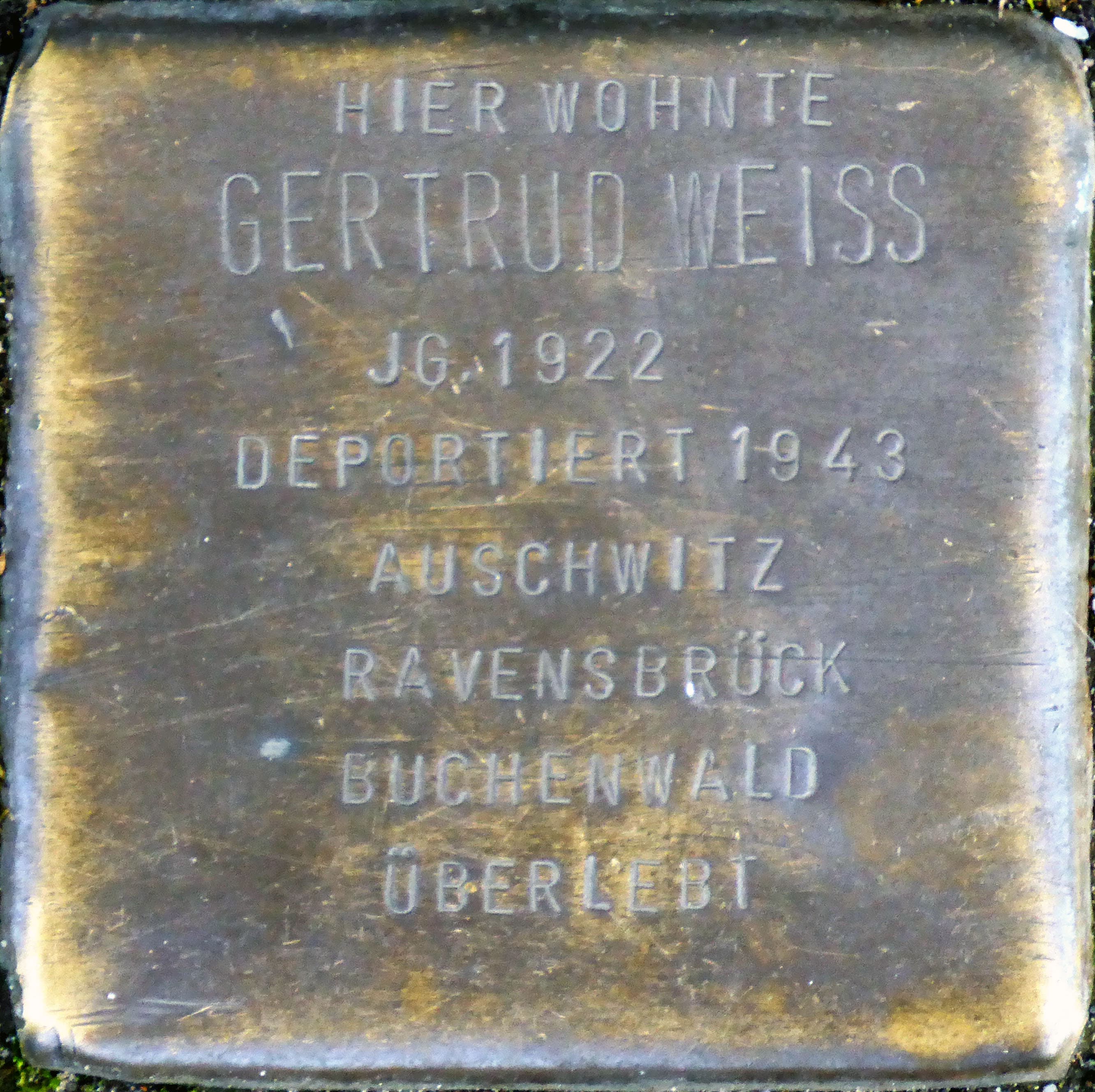 Gertrud Weiss