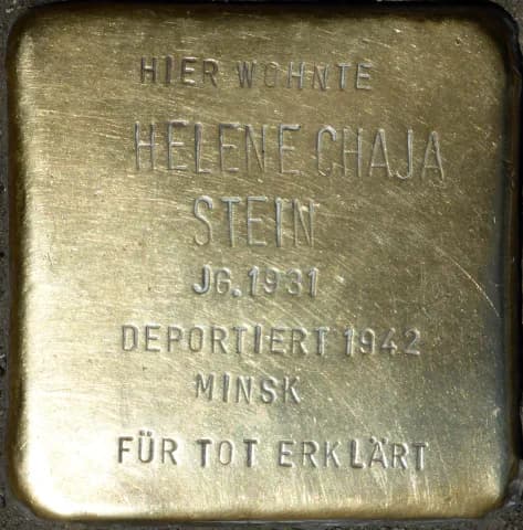 Helene Chaja Stein
