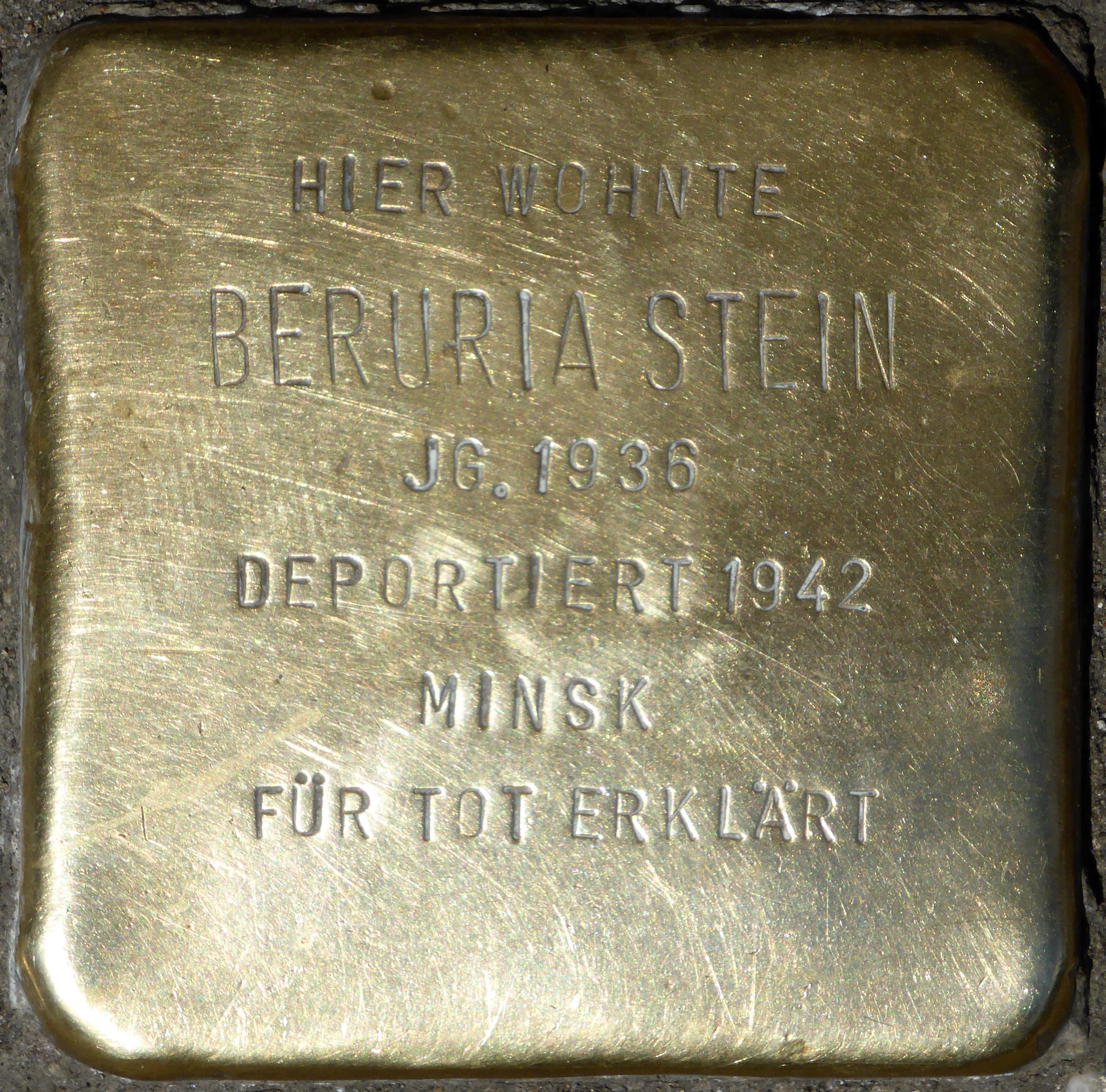 Beruria Stein