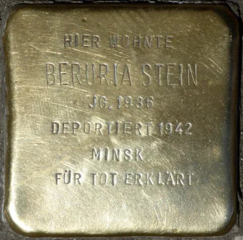 Beruria Stein