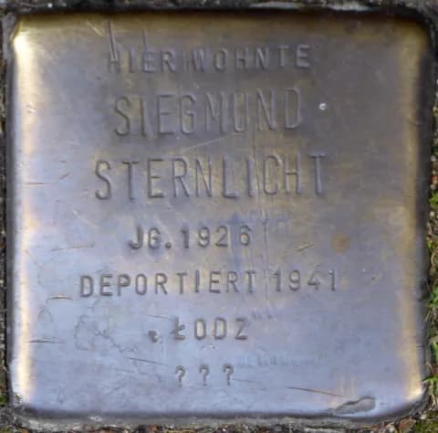 Siegmund Sternlicht