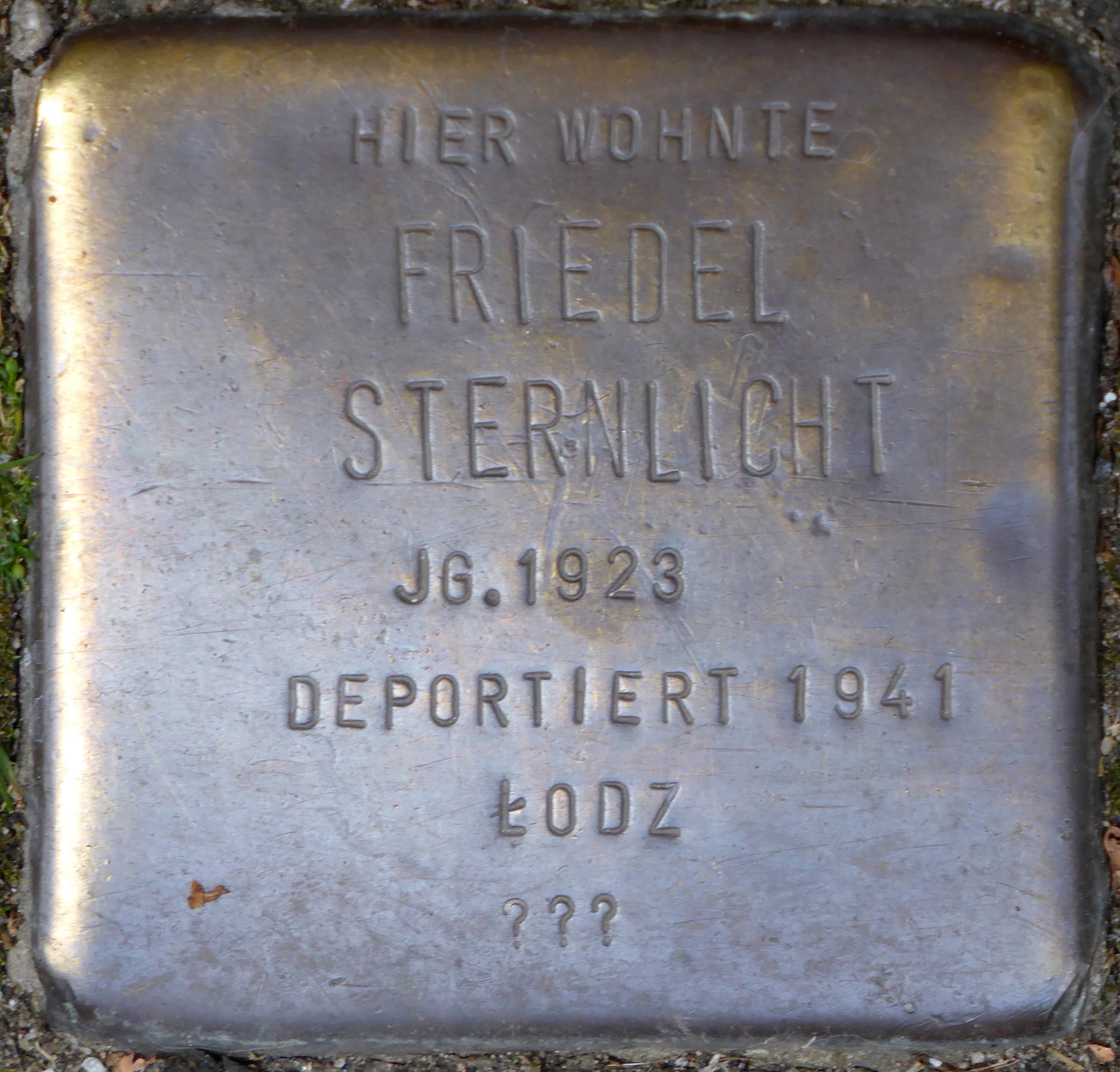Friedel Sternlicht