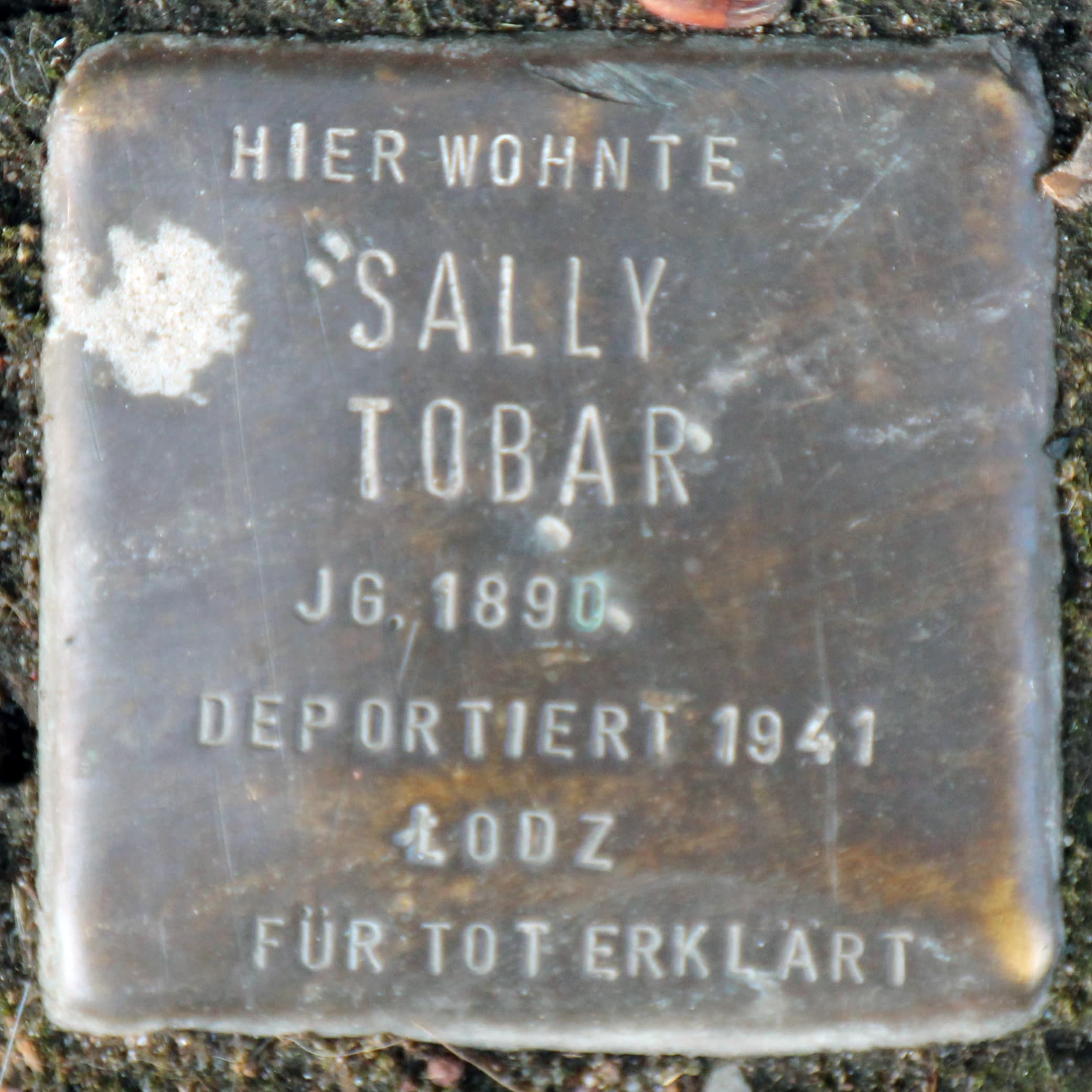 Sally Tobar