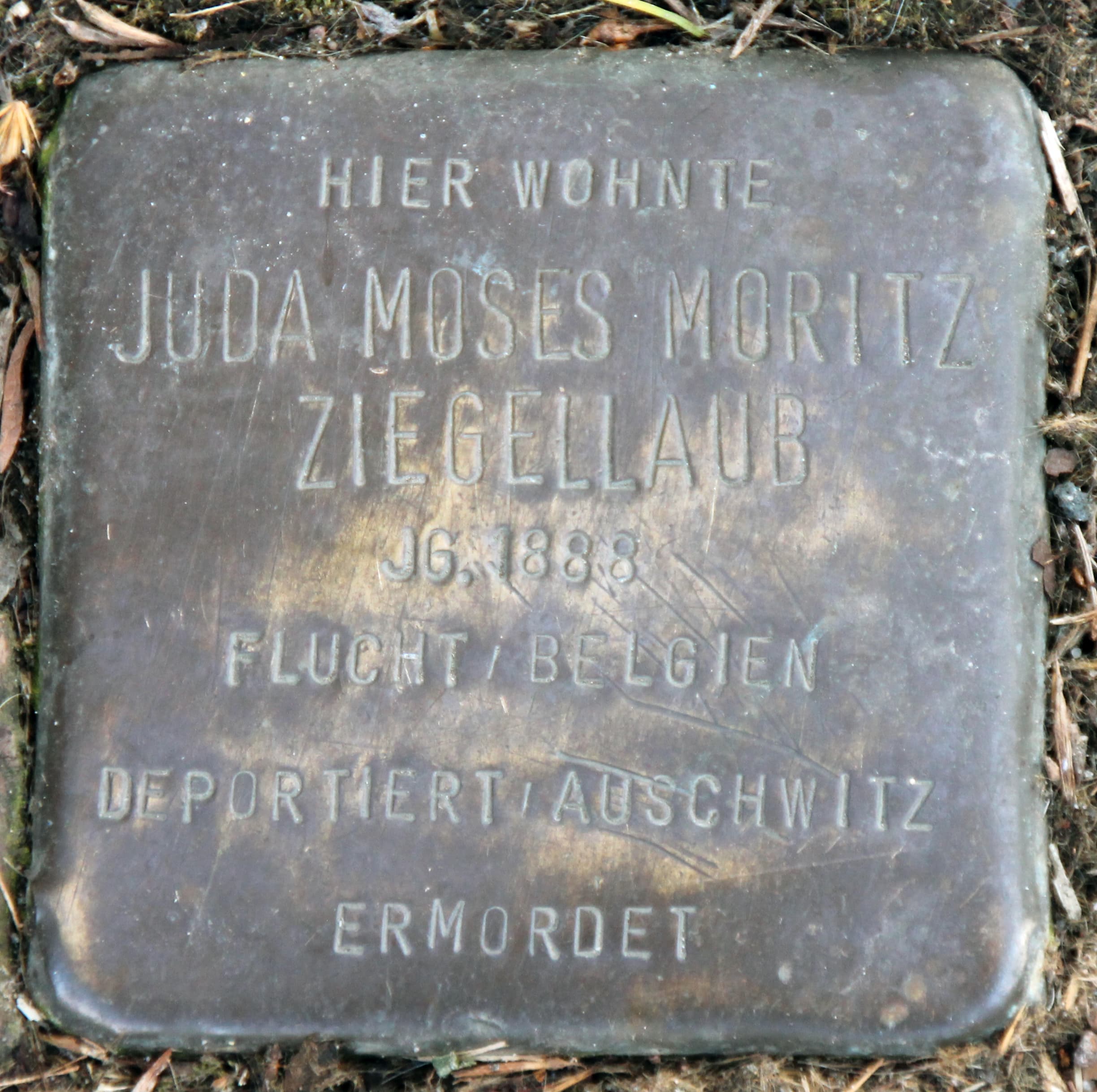 Juda Moses Moritz Ziegellaub