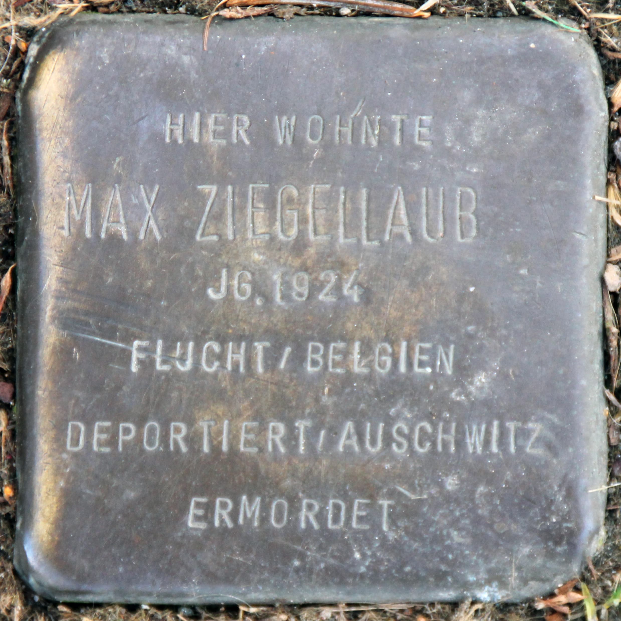 Max Ziegellaub