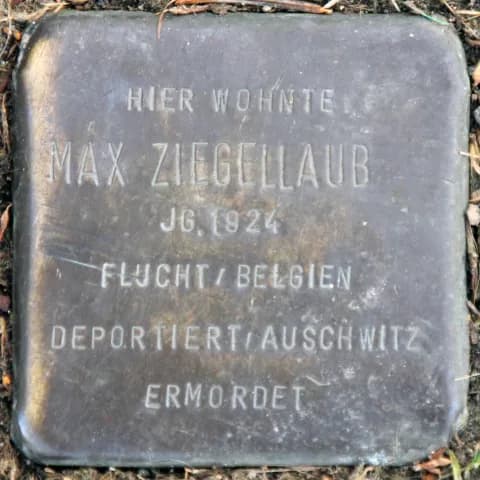 Max Ziegellaub