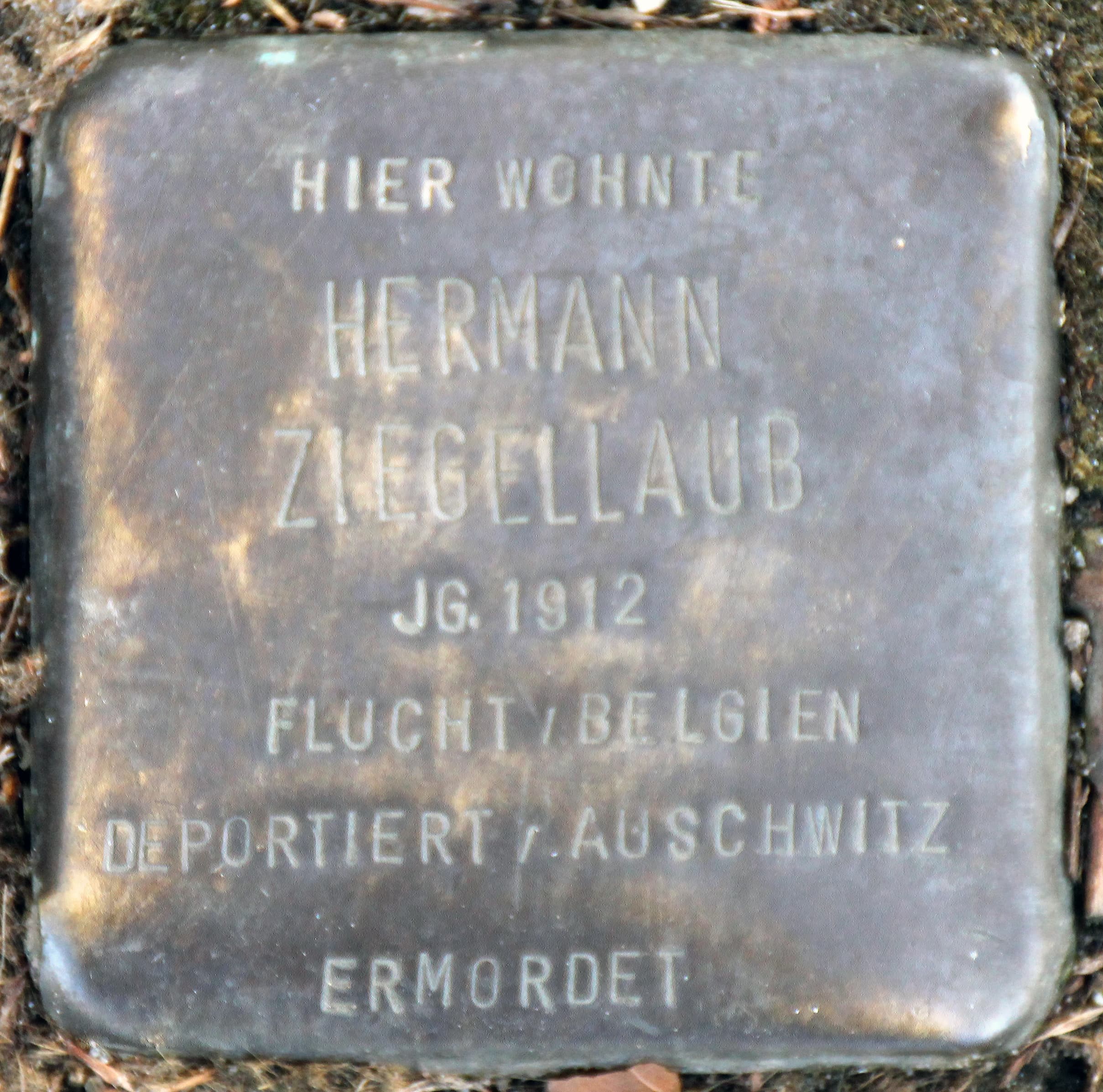 Hermann Ziegellaub
