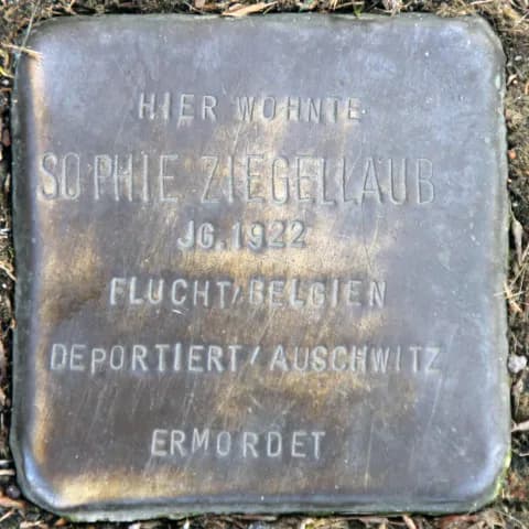 Sophie Ziegellaub