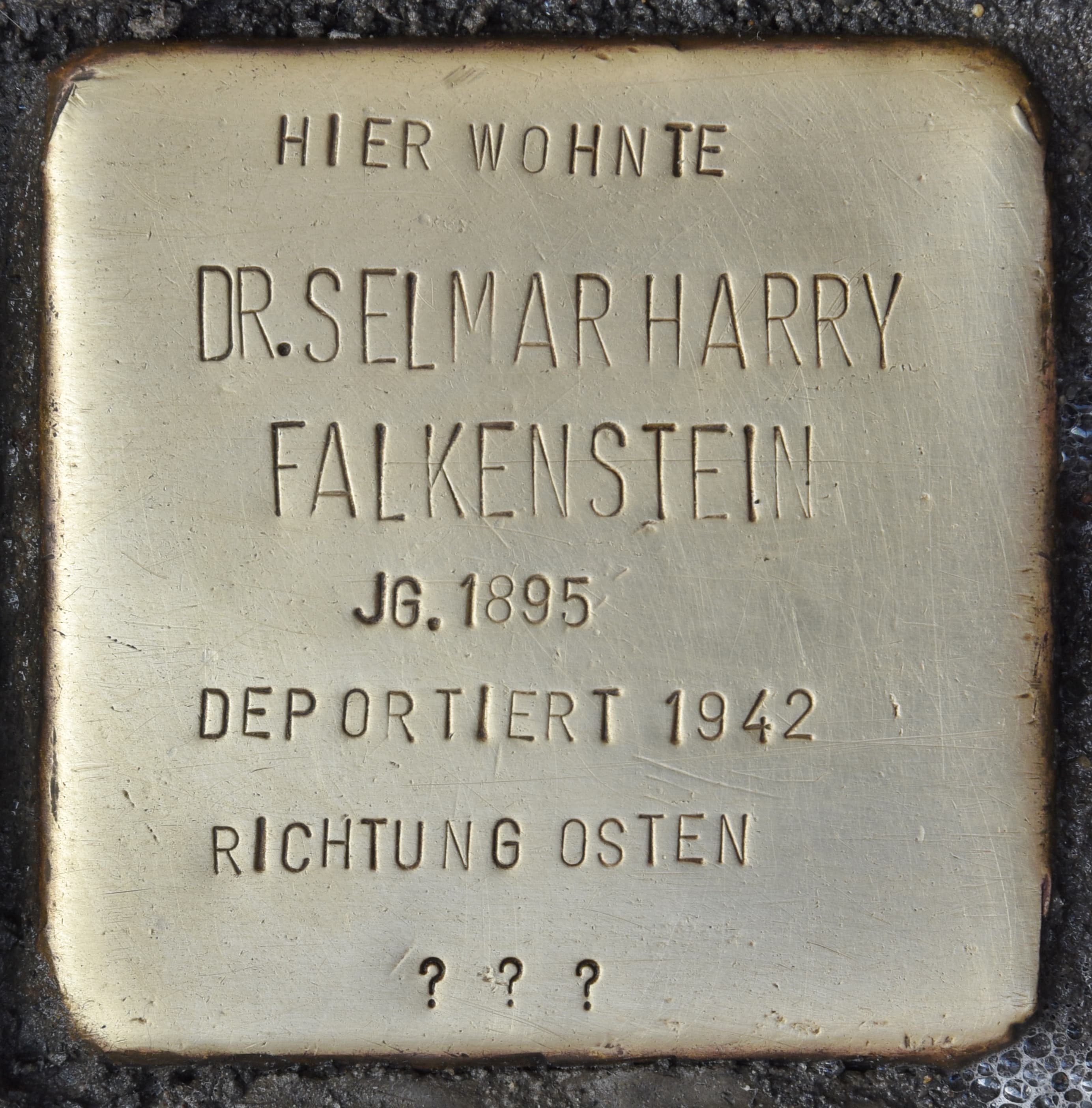 Dr. Selmar Harry Falkenstein