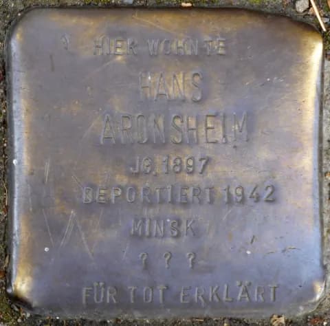 Hans Aronsheim