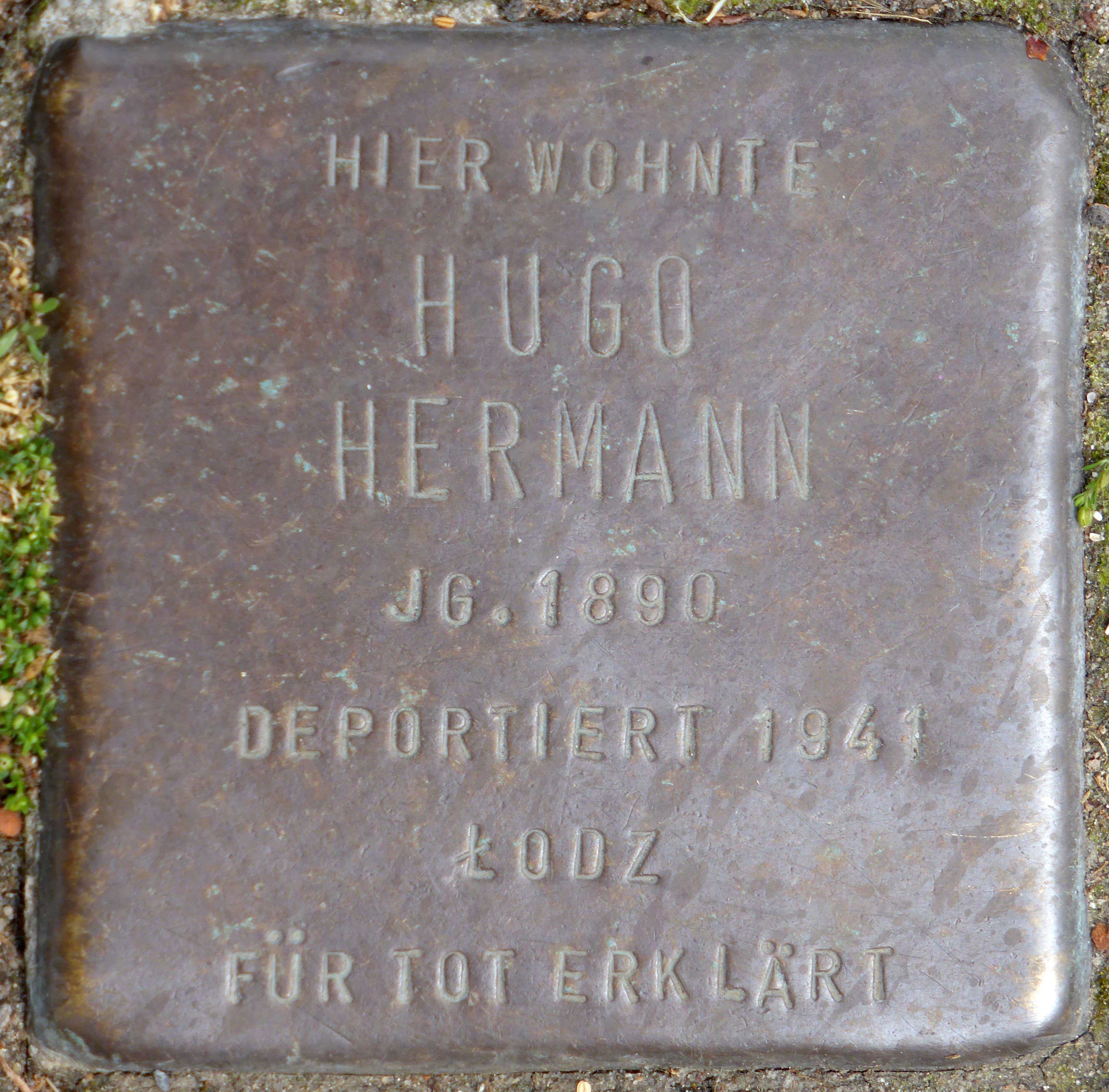 Hugo Hermann
