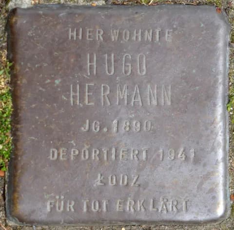 Hugo Hermann