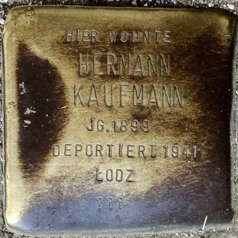 Hermann Kaufmann