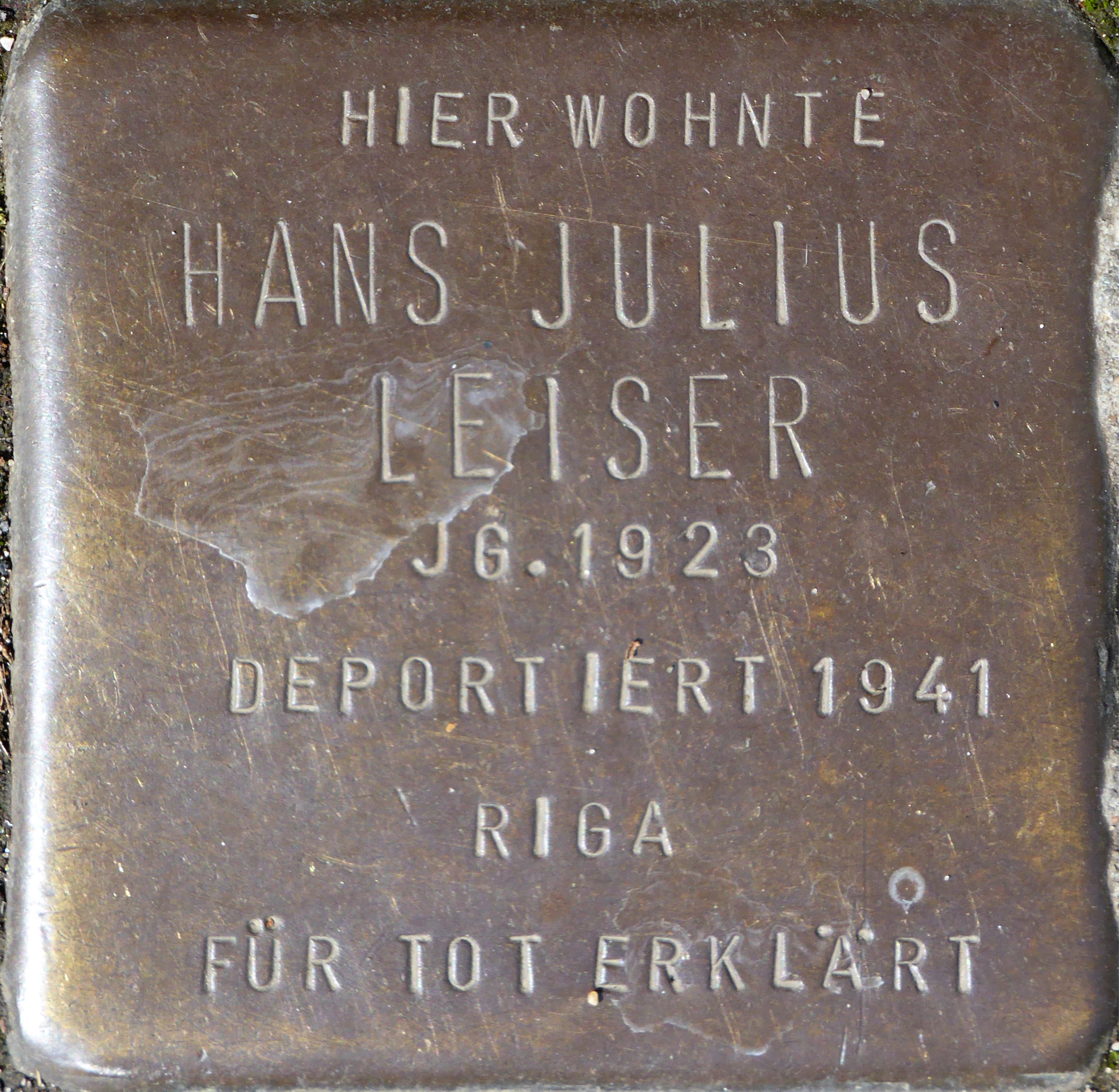 Hans Julius Leiser