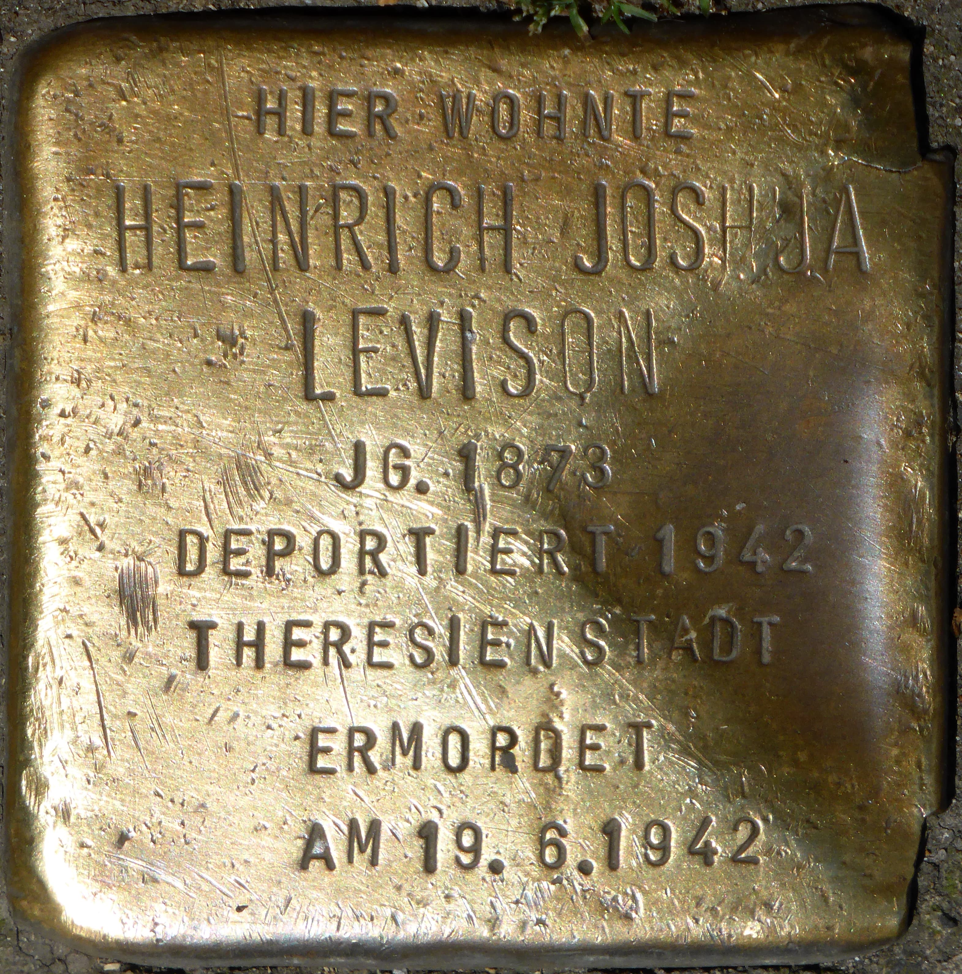 Heinrich Joshua Levison