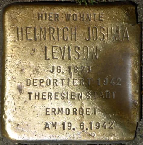 Heinrich Joshua Levison
