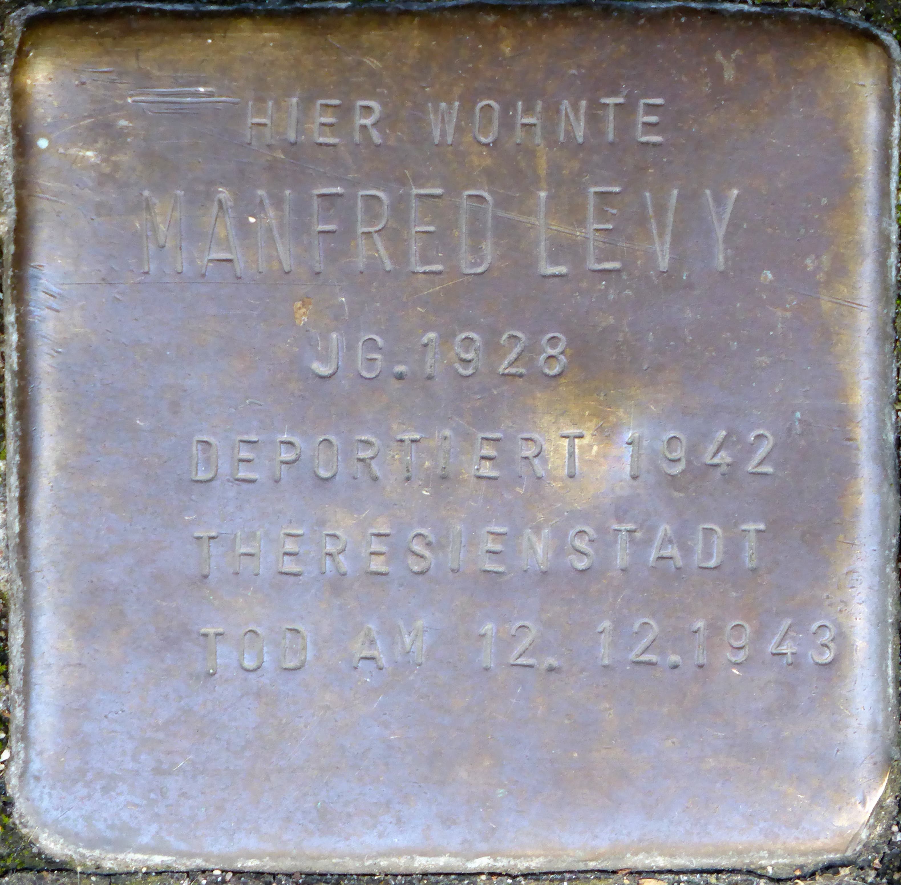 Manfred Levy