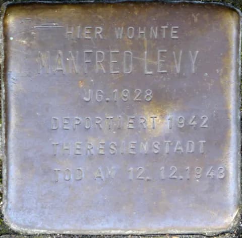 Manfred Levy