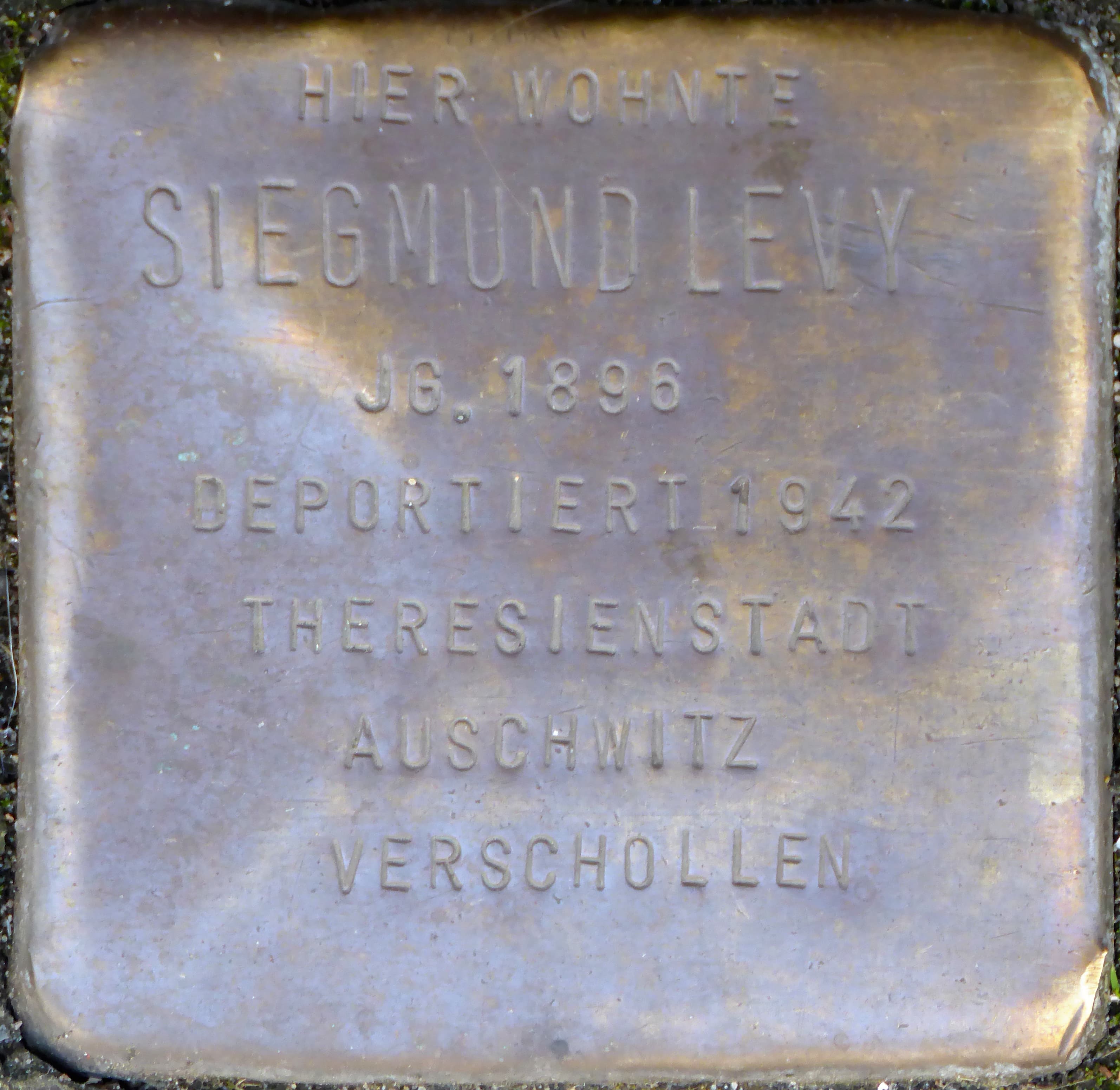 Siegmund Levy