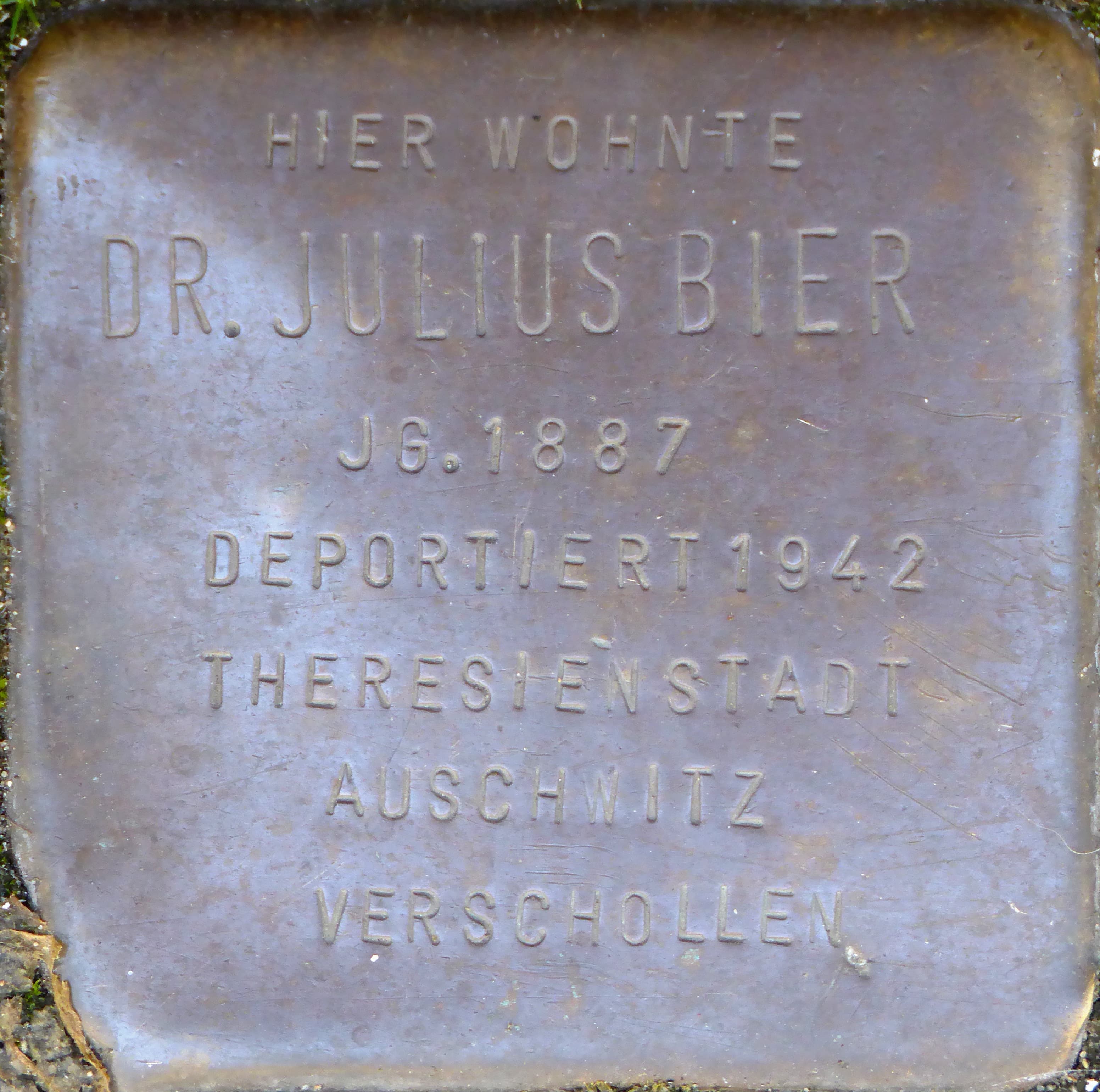 Dr. Julius Bier