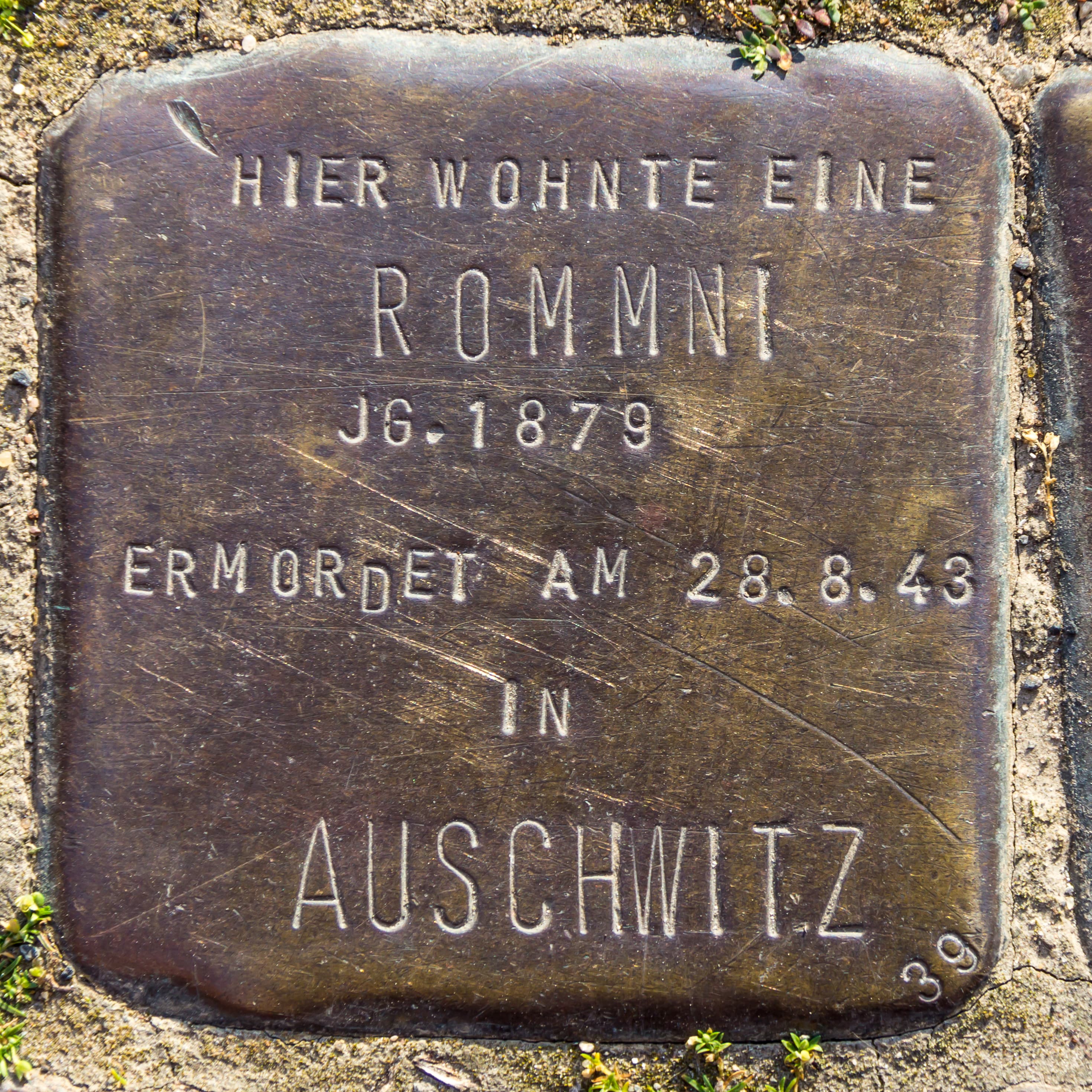Jg. 1879 Rommni