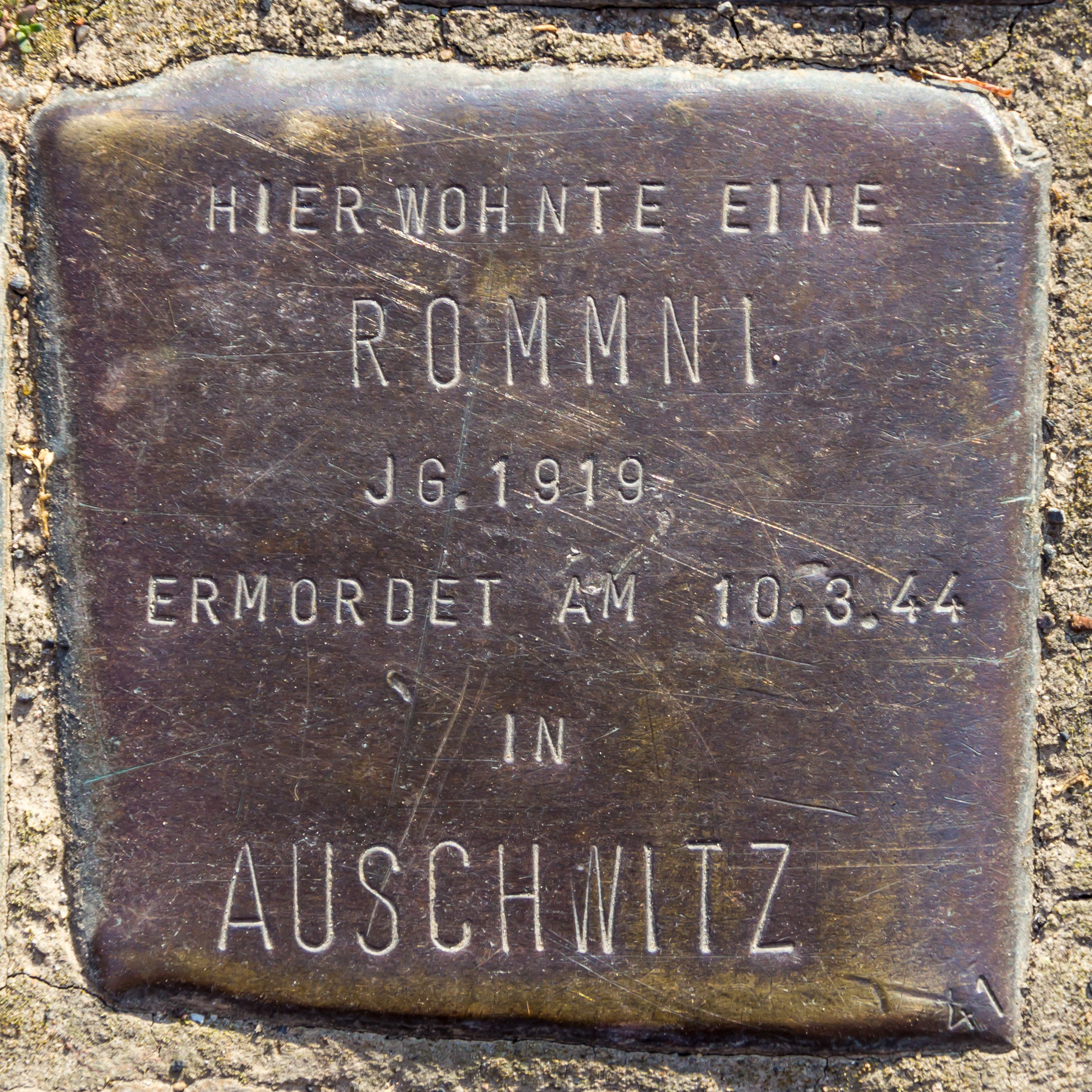 Jg 1919 Rommni