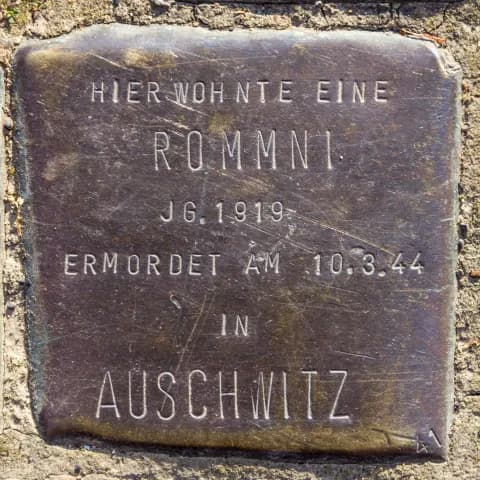 Jg 1919 Rommni
