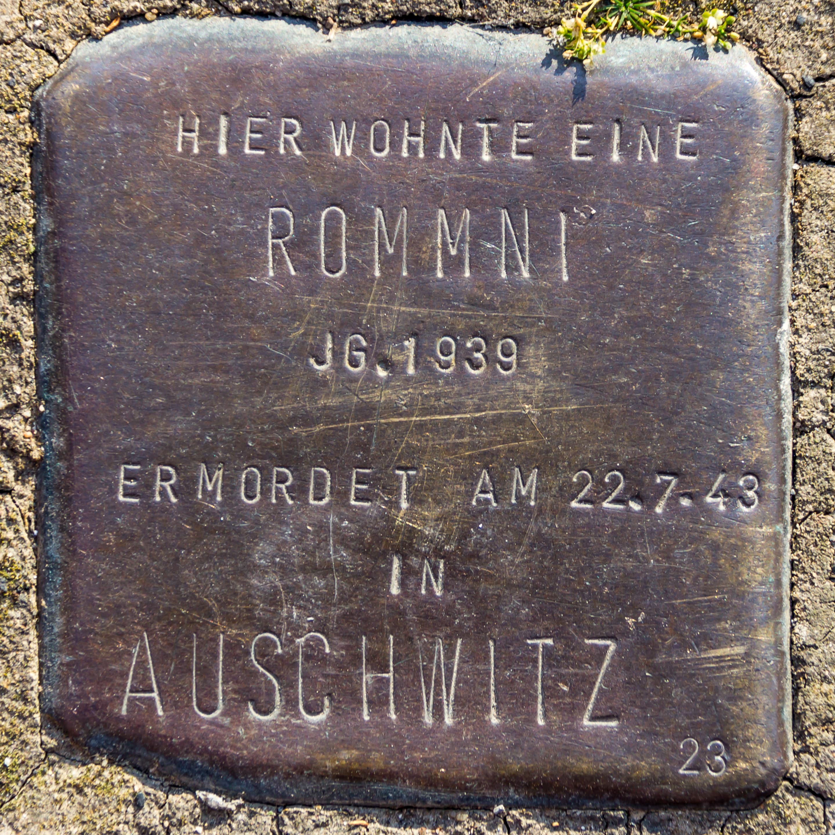 Jg 1939 Rommni