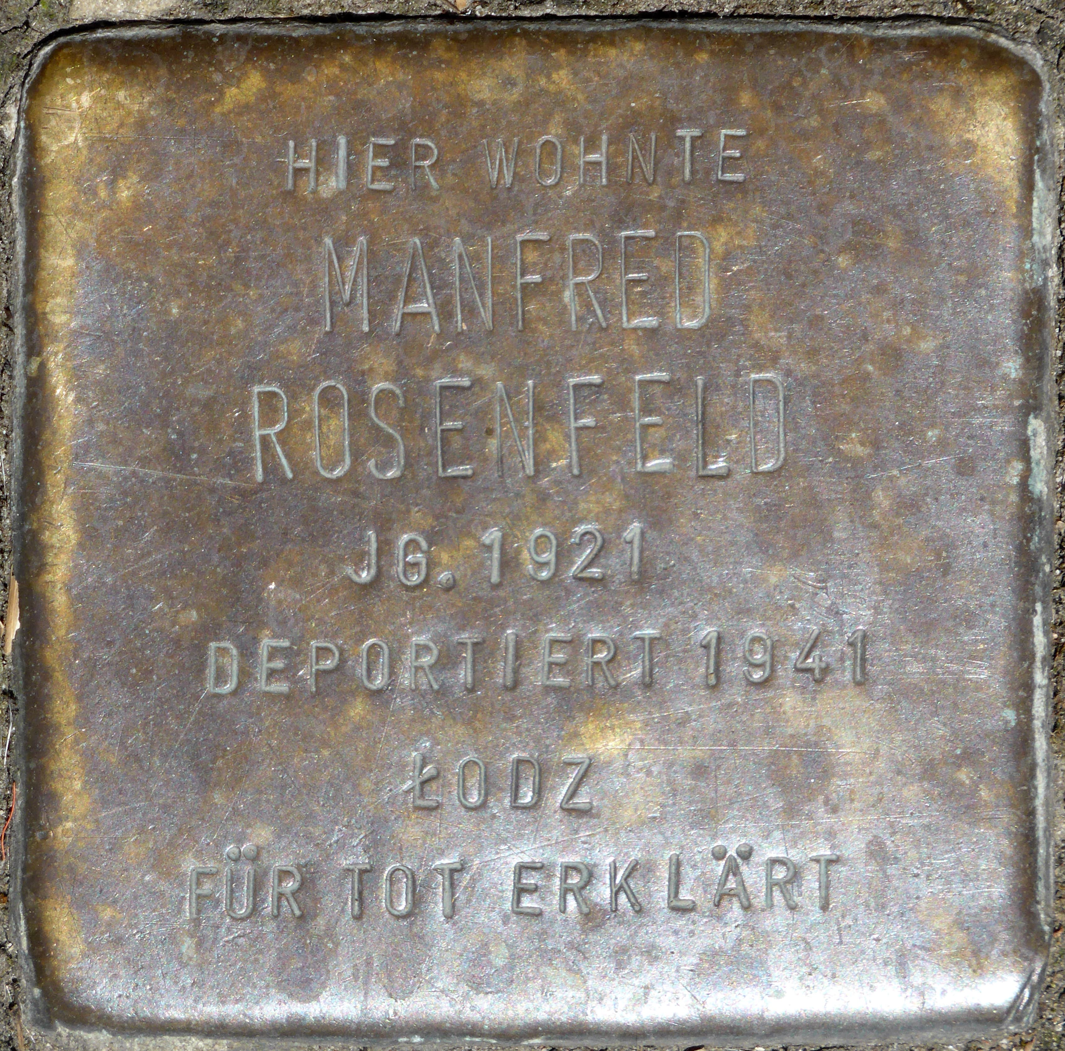 Manfred Rosenfeld
