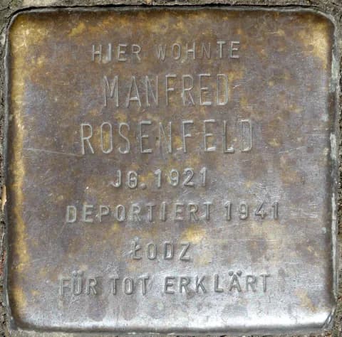 Manfred Rosenfeld