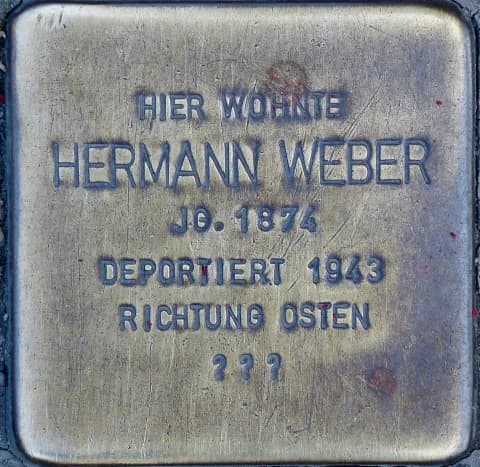 Hermann Weber