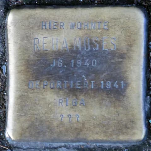 Reha Moses