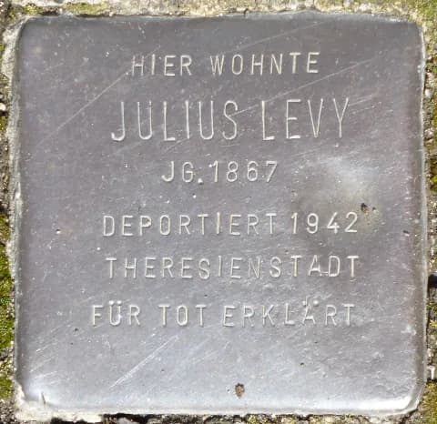 Julius Levy