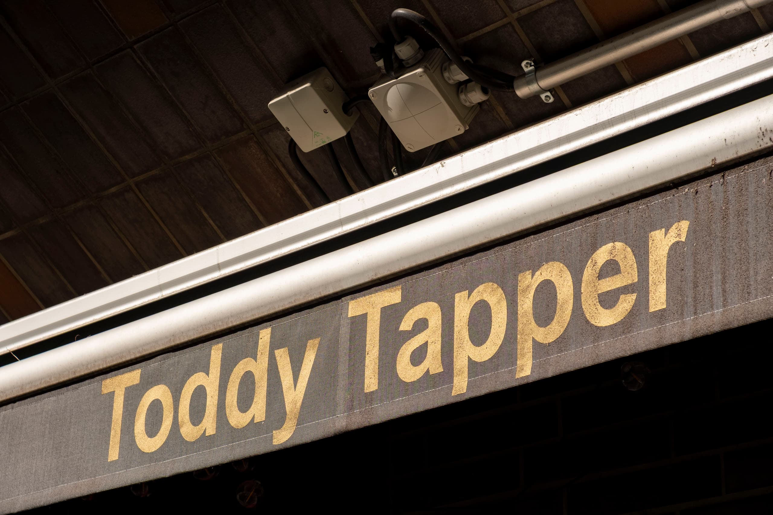 Toddy Tapper